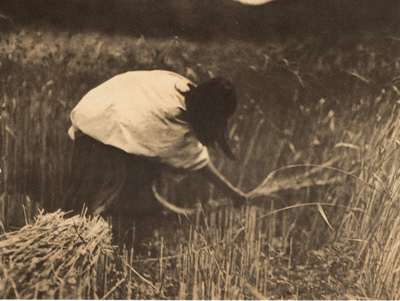 THE APACHE REAPER EDWARD CURTIS NORTH AMERICAN INDIAN PHOTO